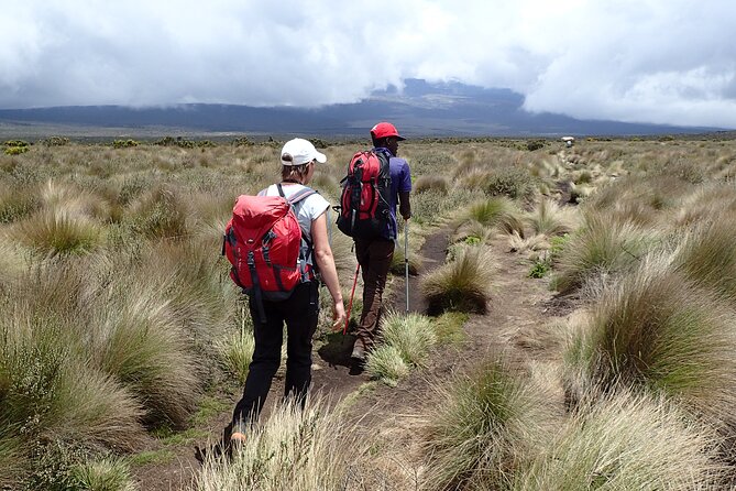 9 Days Kilimanjaro Climb via Lemosho Route - Day 3: From forest to the Shira Plateau