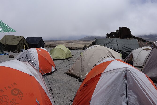 9 Days Kilimanjaro Climb via Lemosho Route - Day 4: A short acclimatization day at Shira 2