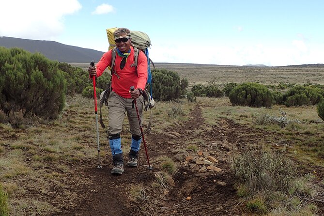 9 Days Kilimanjaro Climb via Lemosho Route - Day 1: A soft landing in Moshi