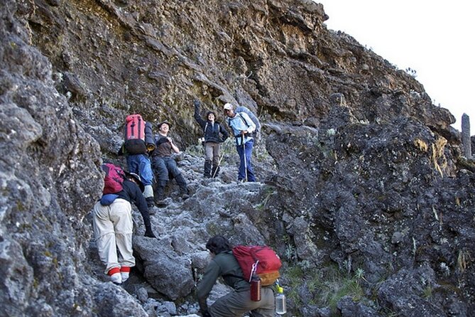 9 Days Kilimanjaro Hiking or Climbing via Northern Circuit route - Why the Northern Circuit route is worth nine days