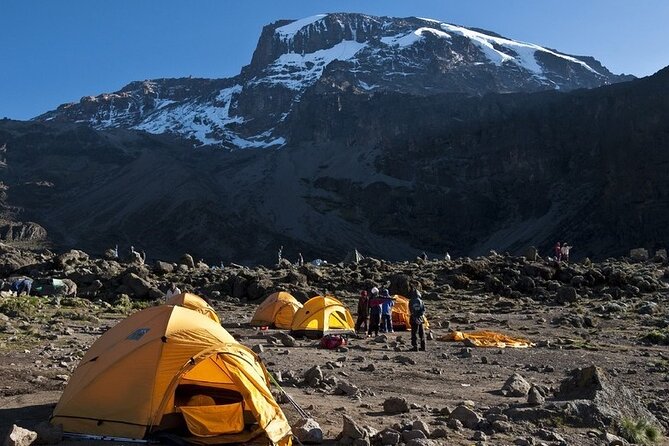 9 Days Kilimanjaro Hiking or Climbing via Northern Circuit route - Day 4: Lava Tower, Lent Hills, and Moir Hut