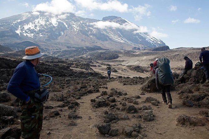 9 Days Kilimanjaro Hiking or Climbing via Northern Circuit route - Day 5: Moir Valley to Buffalo Camp