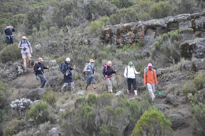 9 Days Mount Kilimanjaro Climb Machame Route - What this nine-day Kilimanjaro trip really includes