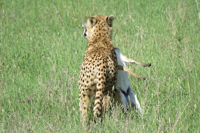 9 Days Safari To See Great Migration Crossing - Day 7: The crossing day comes with a clear warning