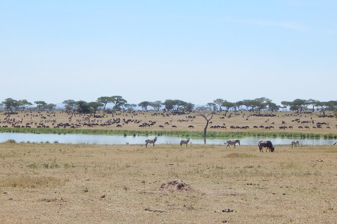 9 Days Tanzania Exhaustive Safari - Ngorongoro Crater packs a lot into five hours