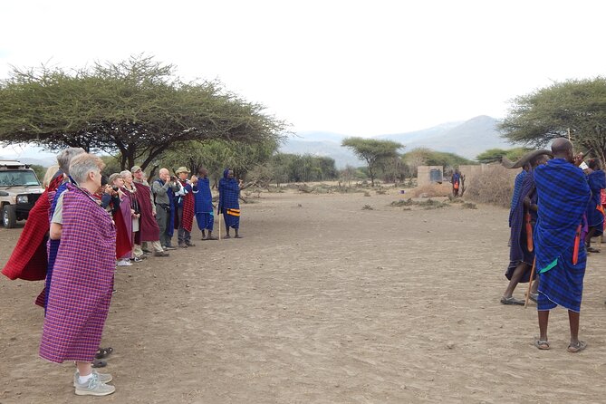 9 Days Tanzania Exhaustive Safari - Tarangire brings elephants and baobabs