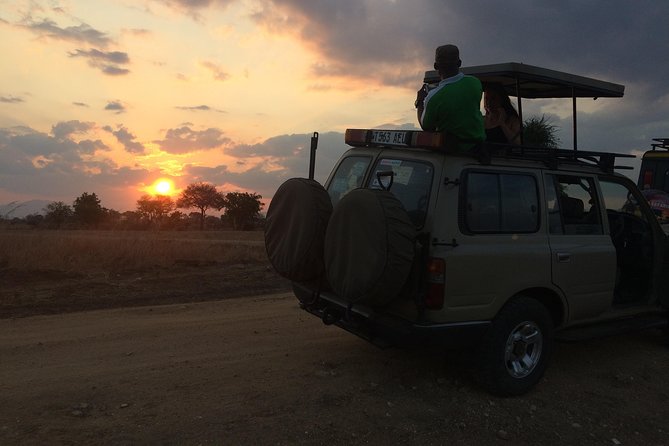 A day trip to mikumi from morogoro - The value of having a driver-guide