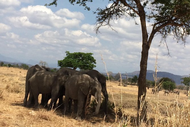A day trip to mikumi from morogoro - Who will get the most from this trip