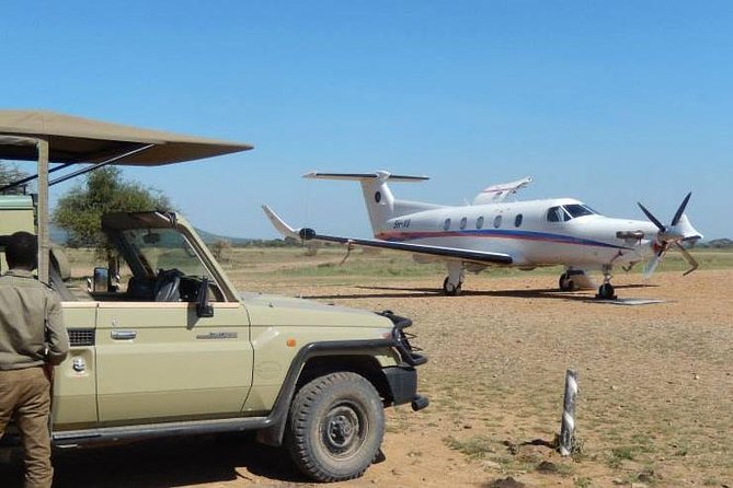 A Day Trip To Selous Fly From Zanzibar - Key points to know before booking