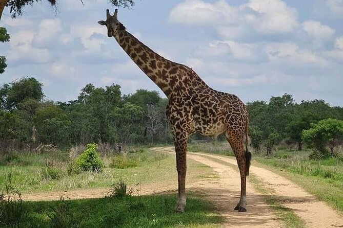 A Day Trip To Selous Fly From Zanzibar - Is $630.90 per person fair value?