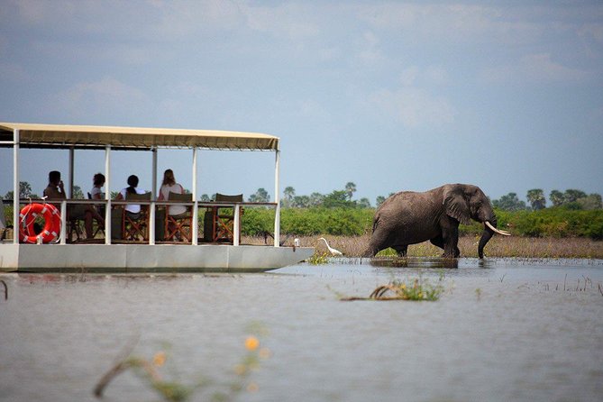 A Day Trip To Selous Fly From Zanzibar - Entering a 50,000-square-kilometre reserve