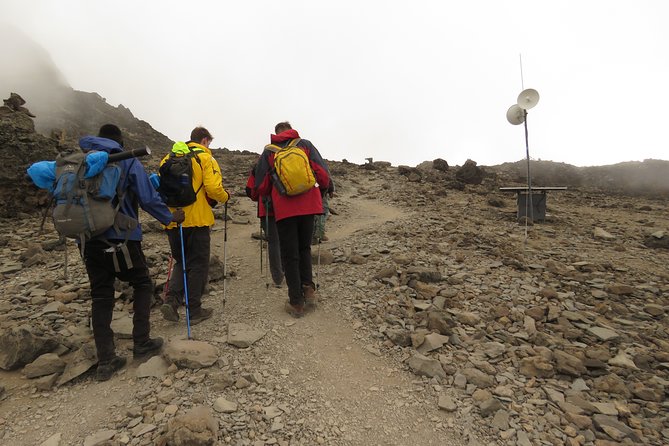 A Definitive Guide For the 7-day Kilimanjaro's Lemosho Route 2025 - Day 2: Forest Camp to Shira Camp