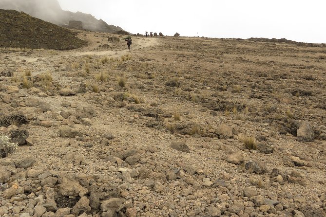 A Definitive Guide For the 7-day Kilimanjaro's Lemosho Route 2025 - Day 5: Barranco to Karanga and Barafu Camp