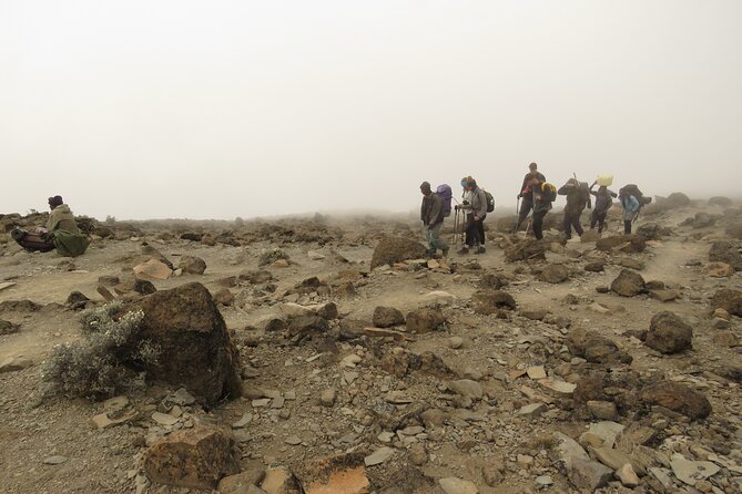 A Definitive Guide For the 7-day Kilimanjaro's Lemosho Route 2025 - Day 6: Barafu Camp to the summit and Mweka Camp