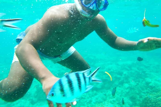 A Full Day Safari Blue Tour And Blue Lagoon - Timing, group size, and what to bring