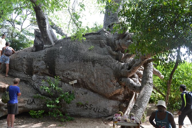 A Full Day Safari Blue Tour And Blue Lagoon - Four hours around Kwale Island