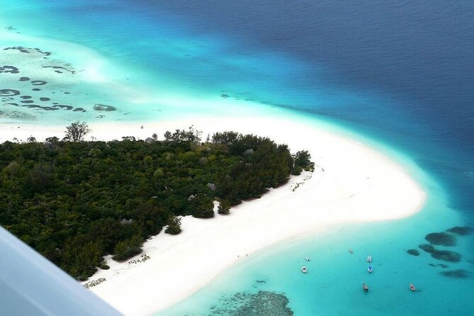 A Half Day Private Dolphins And Snorkeling Tour To Mnemba Island - How to prepare for a better morning