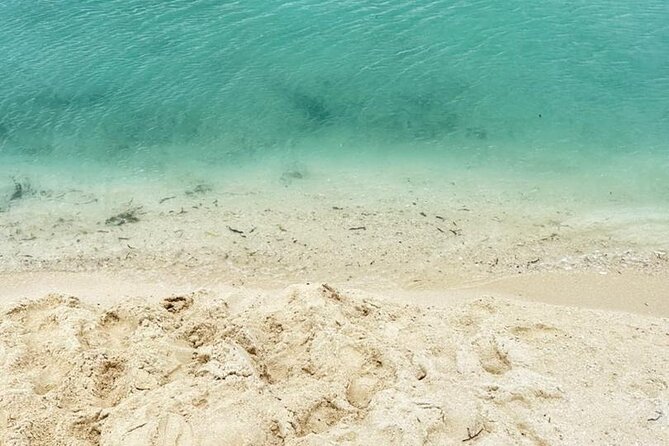 A Half Day Private Prison Island Tour - Timing, weather, and what to bring