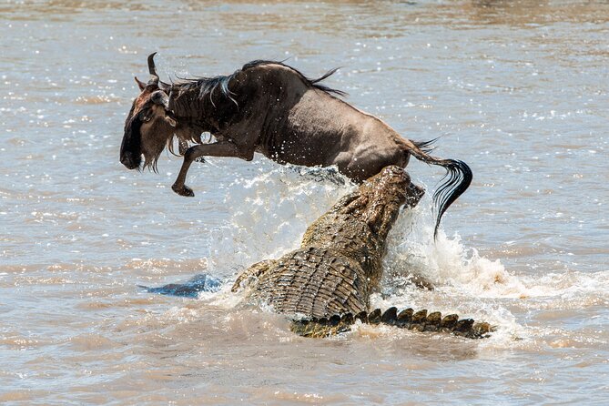 Affordable 3-Day Safari to Serengeti & Ngorongoro Crater - What the $780 price really buys