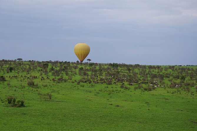 Affordable 3-Day Safari to Serengeti & Ngorongoro Crater - Who should book this safari