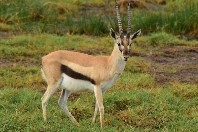 Amazing 4 Days Tanzania Budget Camping Group Joining Safari - What the $1,283 price really covers