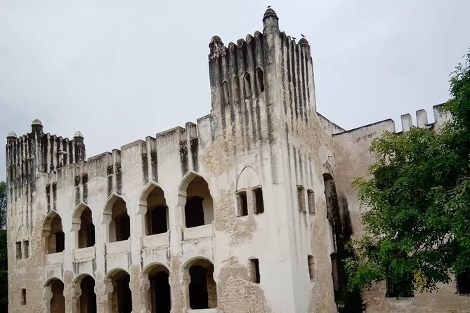 Ancient Bagamoyo City Day Tour - Crocodiles, reptiles, and a lighter final stop