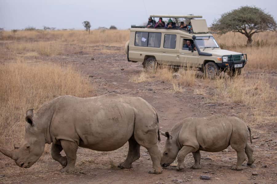 Arusha: 2 Day Tarangire & Ngorongoro Crater Big Five Safari - Returning to Arusha or catching a late flight
