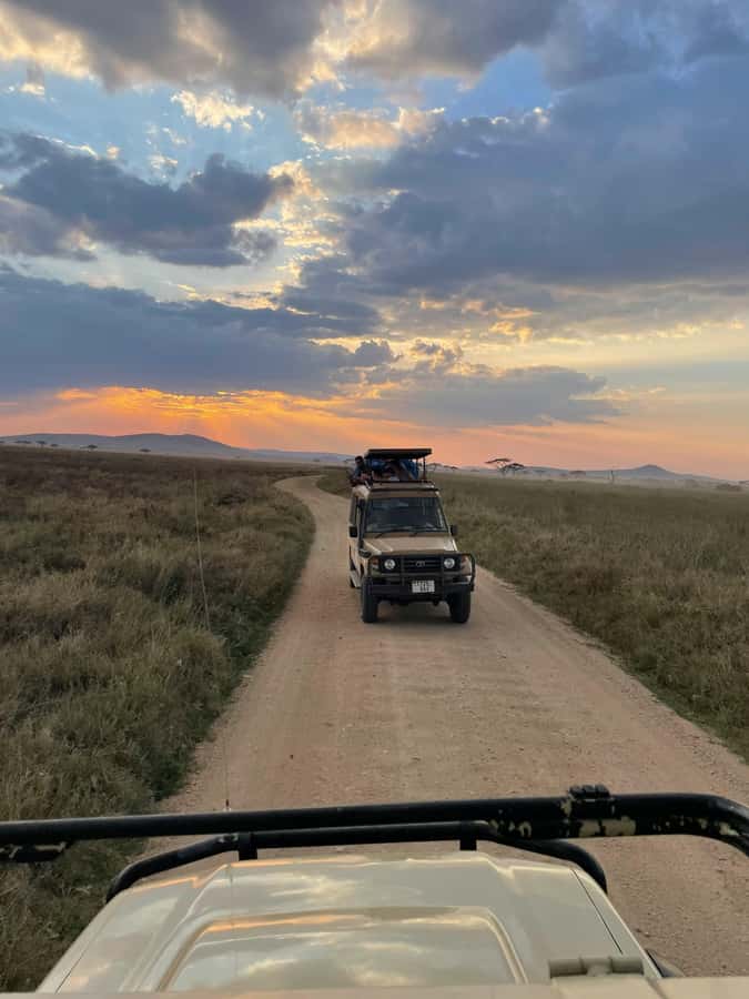 Arusha: 2 Day Tarangire & Ngorongoro Crater Big Five Safari - What the vehicle and guide setup mean for you