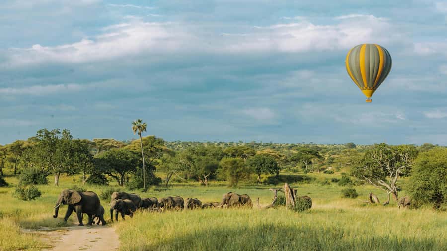 Arusha: 2 Day Tarangire & Ngorongoro Crater Big Five Safari - Packing for cold mornings and dusty roads
