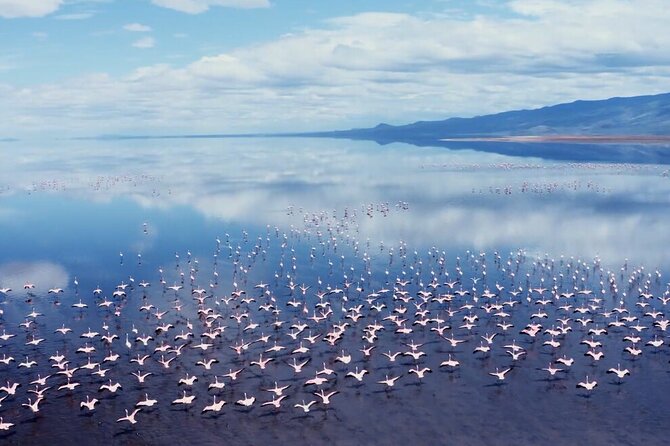 Arusha: 3-Day Safari Tarangire, Flamingo Walk Lake Natron Tour - Day two: the road to Lake Natron
