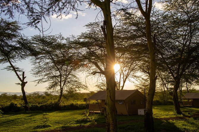 Arusha: 3-Day Safari Tarangire, Flamingo Walk Lake Natron Tour - The private guide can shape the whole trip