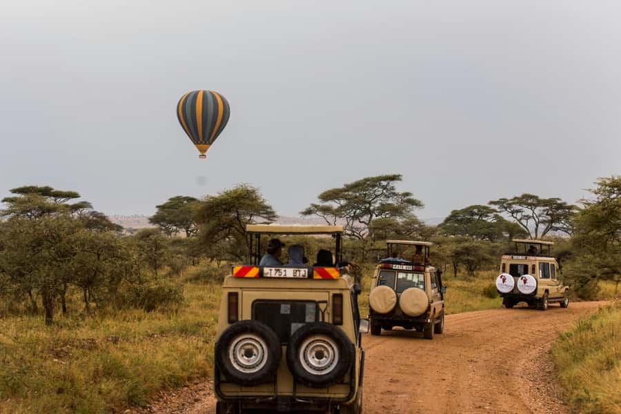 Arusha: 3-Day Serengeti & Ngorongoro Crater Big Five Safari - What $900 buys you on this Tanzania safari