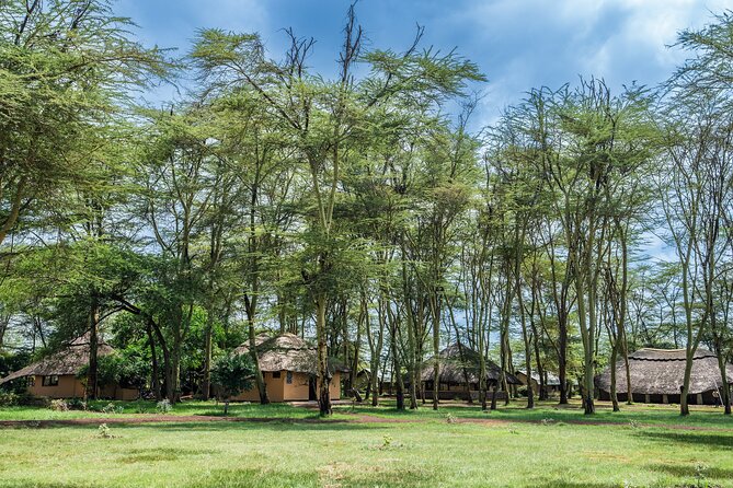 Arusha: 5 days Safari Trip Tarangire, Lake Manyara and Ngorongoro - A four-park idea without the frantic rush