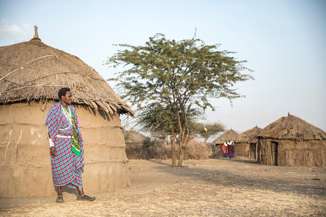 Arusha: 5 days Safari Trip Tarangire, Lake Manyara and Ngorongoro - What the driver-guide adds to the experience
