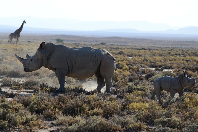 Arusha: 5 days Safari Trip Tarangire, Lake Manyara and Ngorongoro - Accommodation and meals: what the price really covers