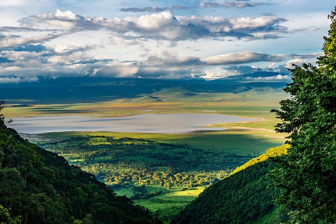 Arusha: 5 days Safari Trip Tarangire, Lake Manyara and Ngorongoro - Day 1: Arusha to Tarangire’s baobab country
