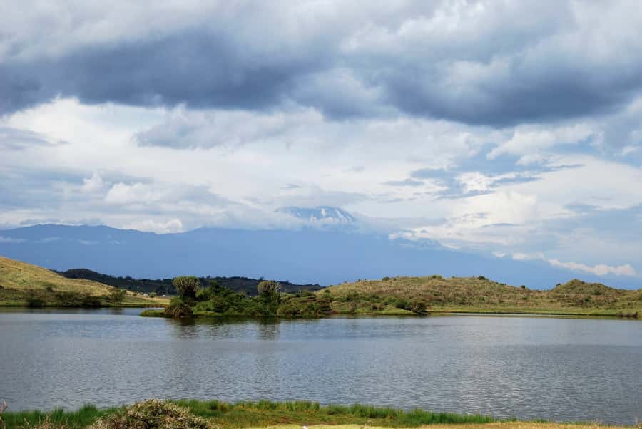 Arusha: Arusha National Park Day Trip w/ Game Drives & Lunch - What you might see, and what not to expect