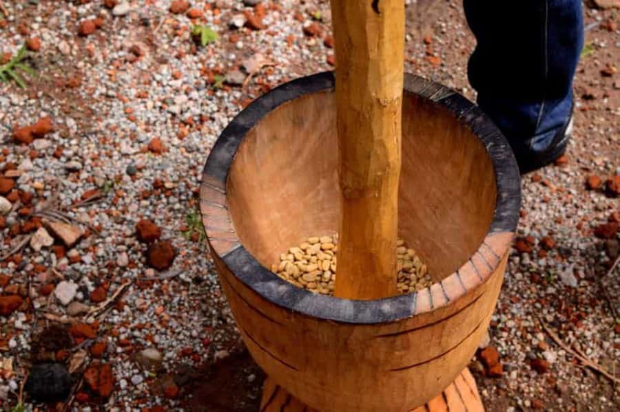 Arusha: Coffee Plantation Tour with Tasting and Hands-On … - Seeing coffee before it reaches the cup