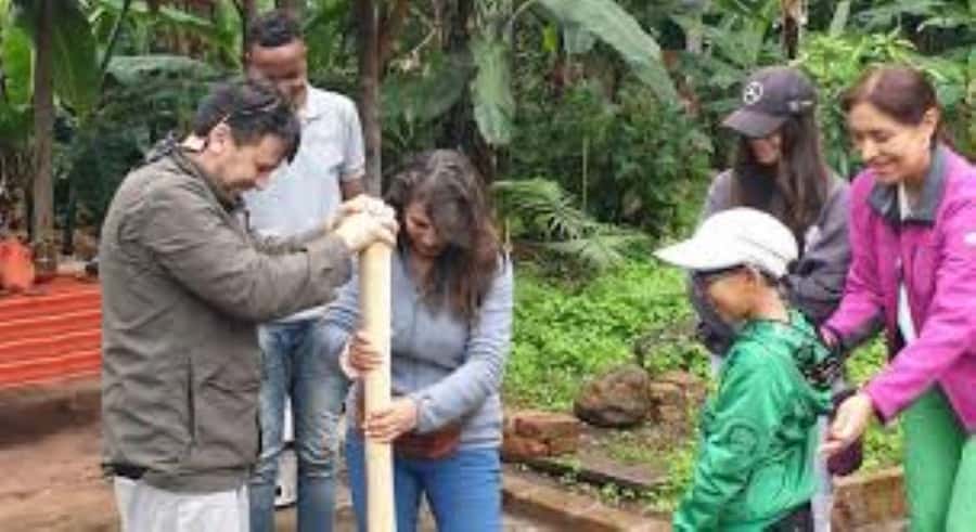 Arusha: Coffee Plantation Tour with Tasting and Hands-On … - Picking and processing the coffee cherries
