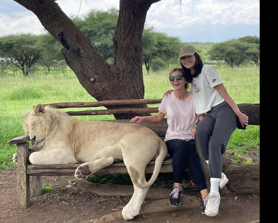 Arusha: Day Trip to Serval Wildlife - Feed Giraffes & Lions - Key points at a glance