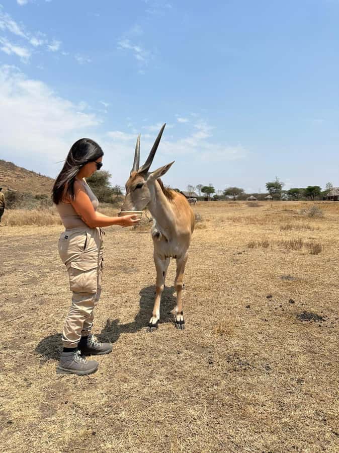 Arusha: Day Trip to Serval Wildlife - Feed Giraffes & Lions - Why Serval Wildlife feels different from a regular safari