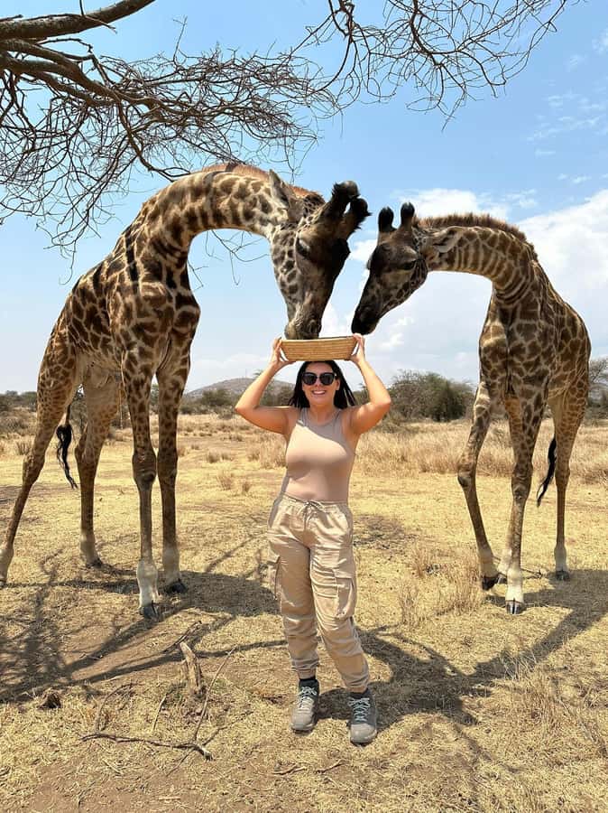 Arusha: Day Trip to Serval Wildlife - Feed Giraffes & Lions - Arriving at Serval Wildlife Sanctuary