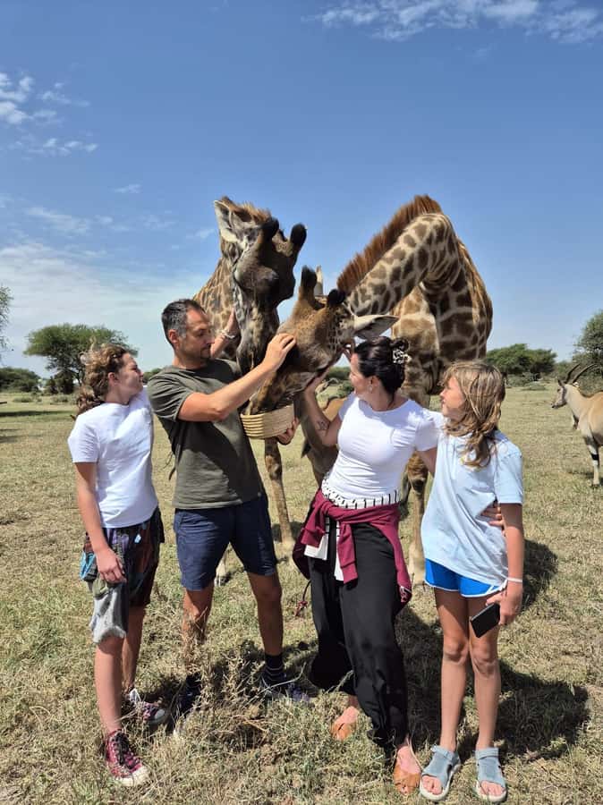 Arusha: Day Trip to Serval Wildlife - Feed Giraffes & Lions - The supervised lion experience