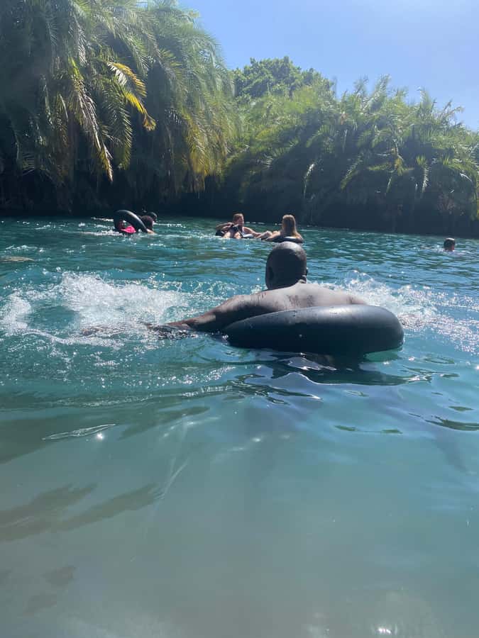 Arusha: Kikuletwa Hot Springs Day Trip with Transport - Key points to know before booking