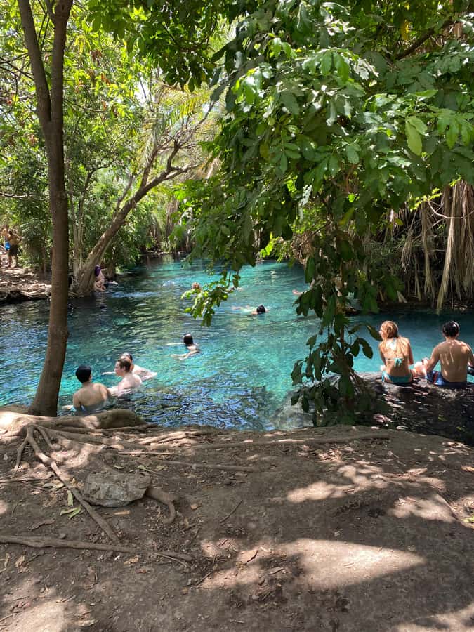 Arusha: Kikuletwa Hot Springs Day Trip with Transport - Why Kikuletwa Hot Springs is worth the long ride