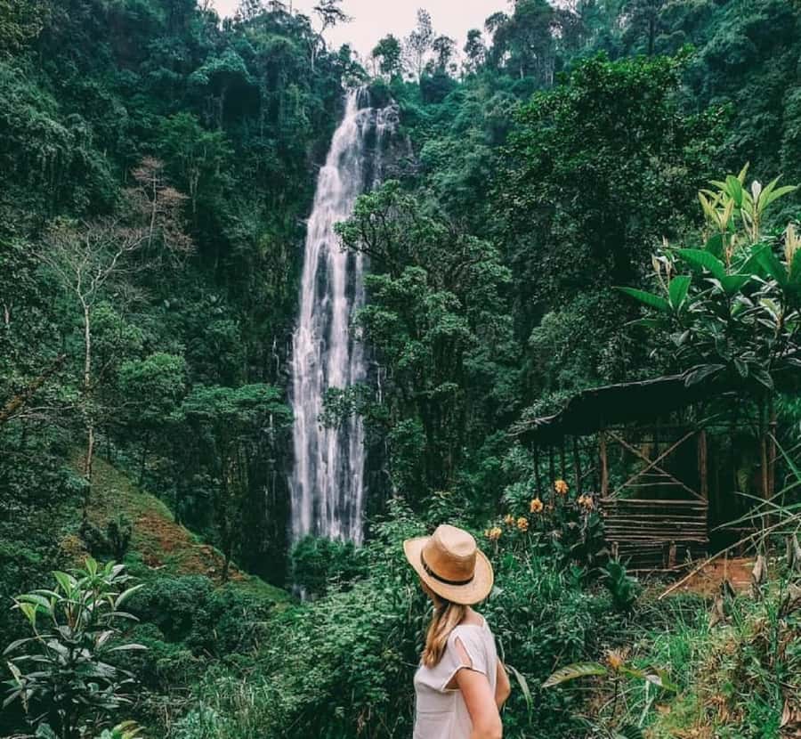 Arusha: Materuni Waterfalls, Coffee, and Hotsprings Tour - Materuni Falls, where the day begins with a walk