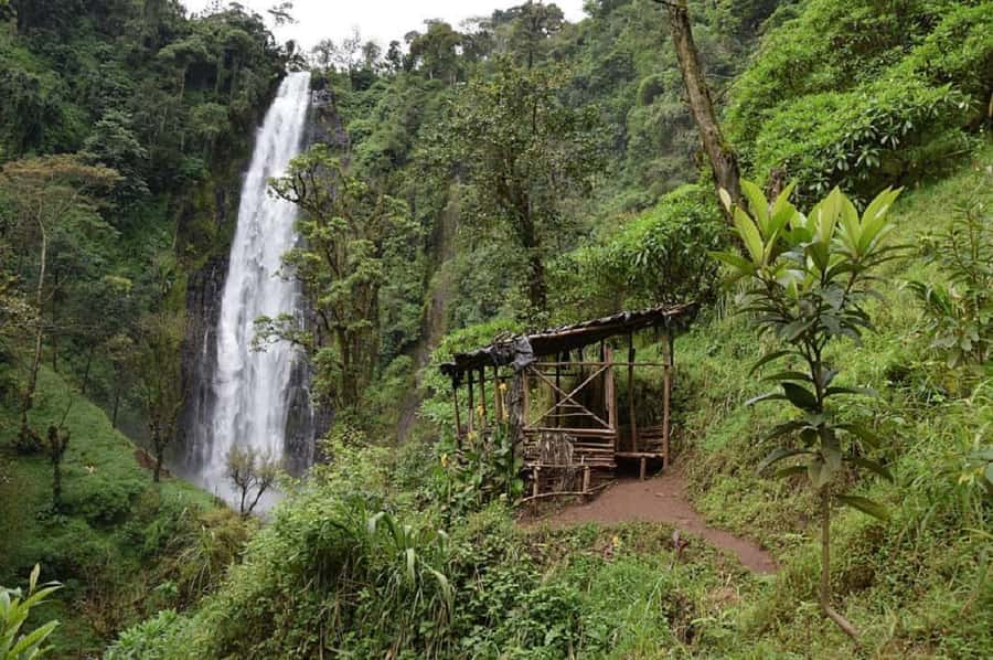 Arusha: Materuni Waterfalls, Coffee, and Hotsprings Tour - Materuni lunch keeps the schedule local