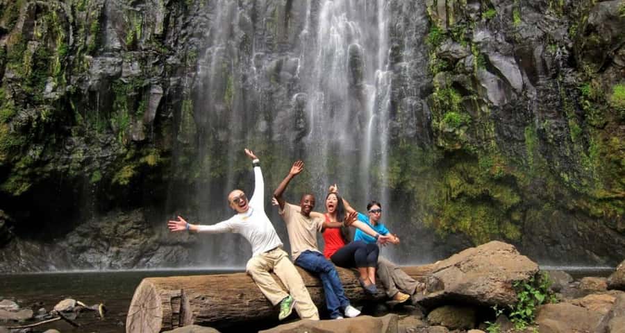 Arusha: Materuni Waterfalls, Coffee, and Hotsprings Tour - What the guide adds to the day
