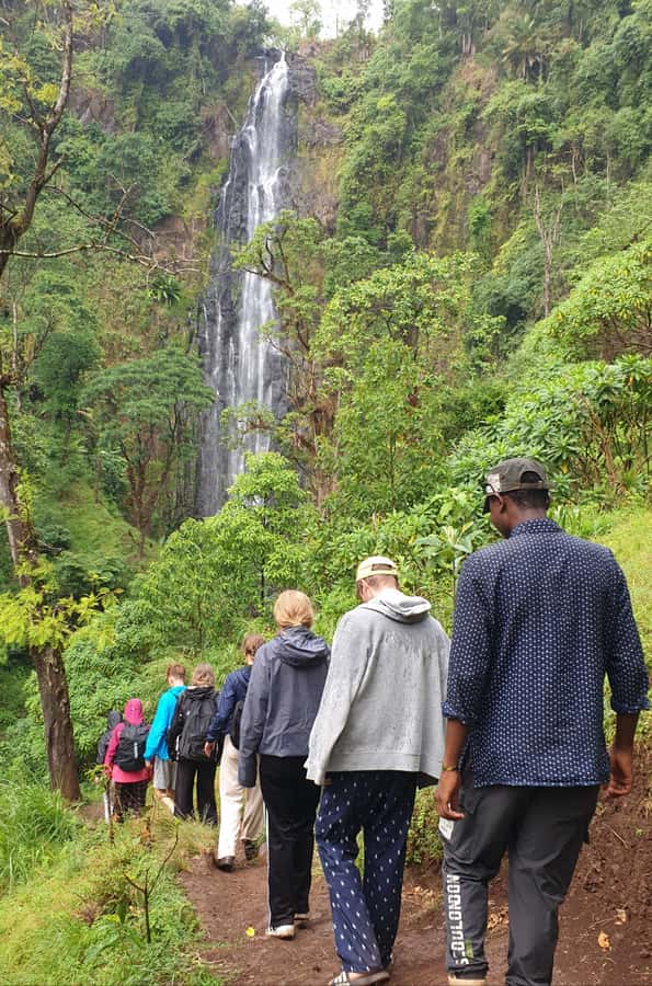 Arusha: Materuni Waterfalls, Hot Springs and/or Coffee Tour - The road from Arusha or Moshi to Materuni