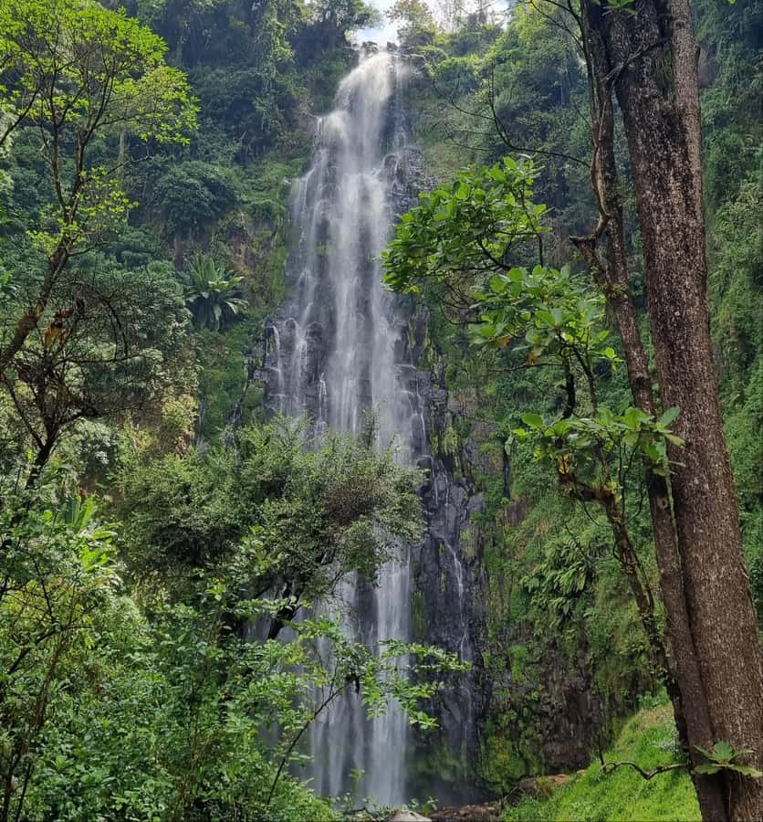 Arusha: Materuni Waterfalls, Hot Springs and/or Coffee Tour - Coffee prepared from green beans to fresh brew